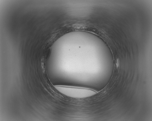 X0000062861396200601130935