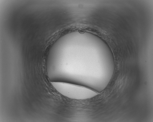 X0000062861397200601130935