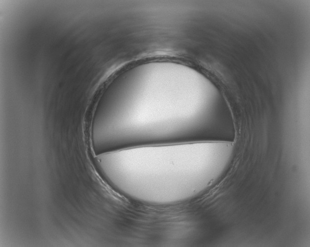 X0000062861404200601130935