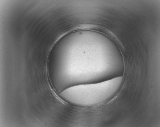 X0000062861417200601130935