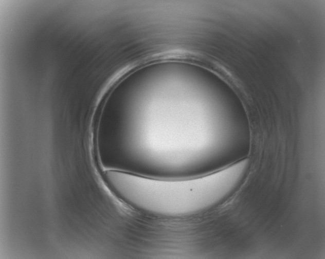 X0000062861418200601130935