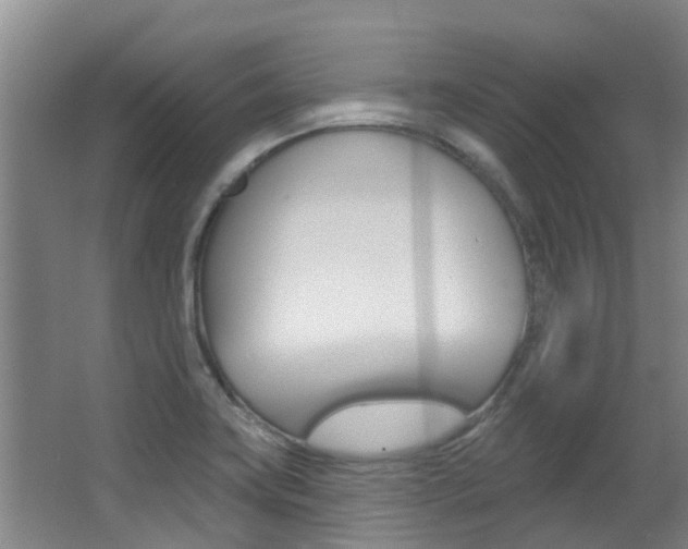 X0000062861419200601130935
