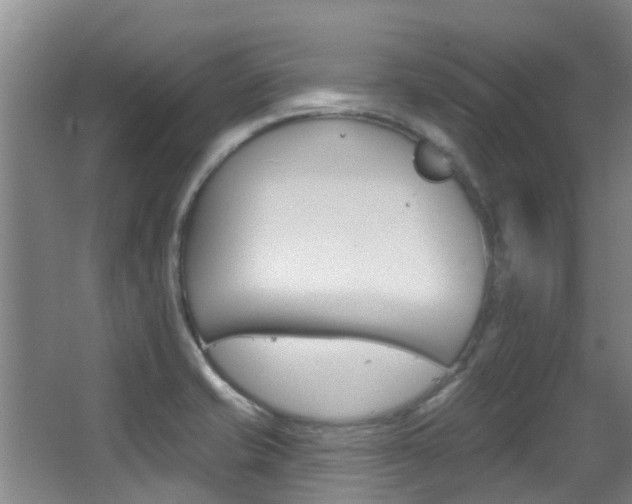 X0000062861421200601130935