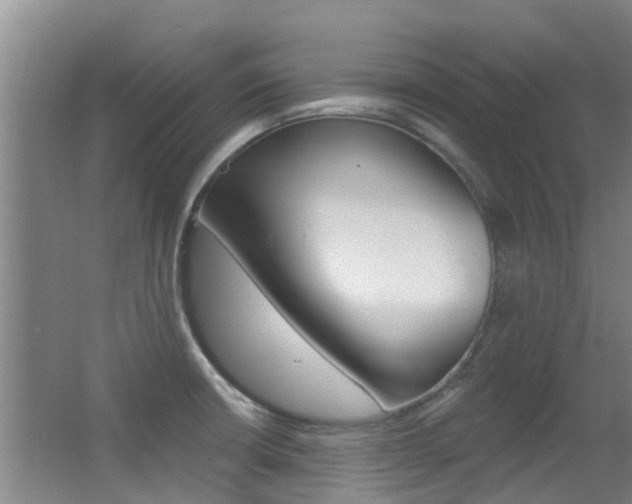 X0000062861426200601130936