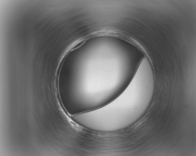 X0000062861434200601130936