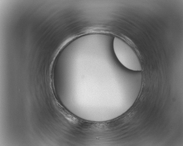 X0000062861435200601130936