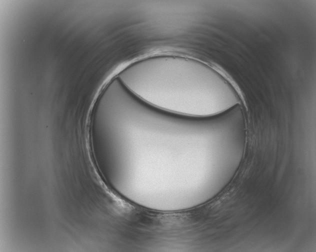 X0000062861437200601130936