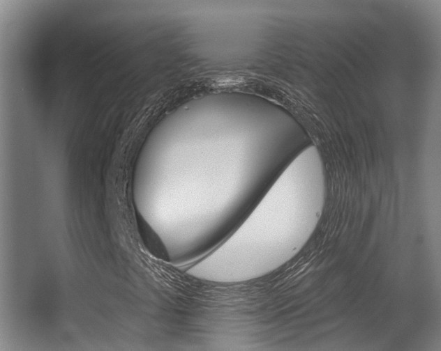 X0000062861441200601130935