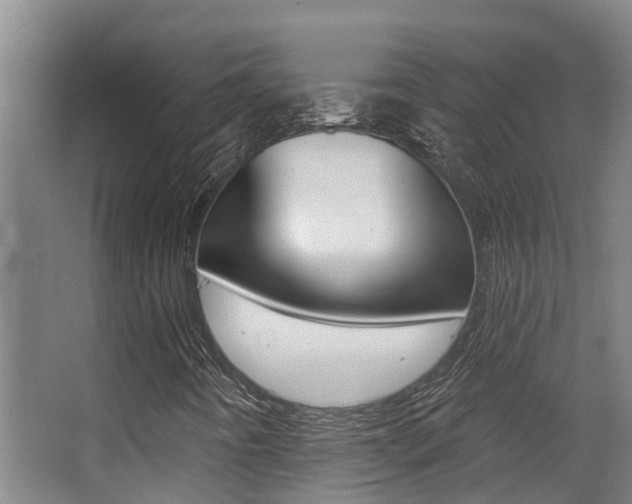 X0000062861442200601130935