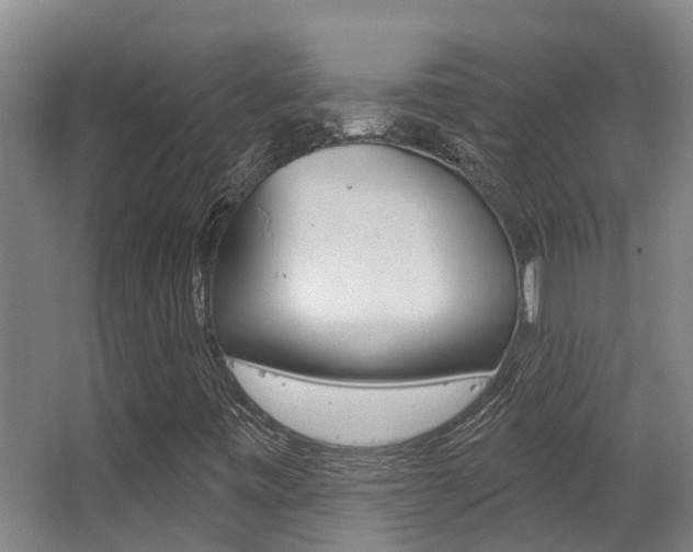 X0000062861443200601130935