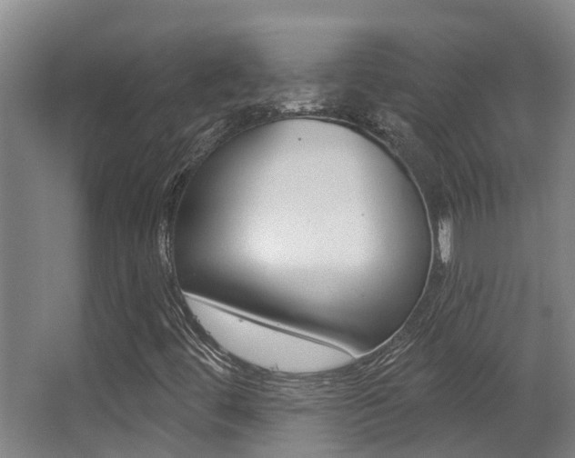 X0000062861444200601130935