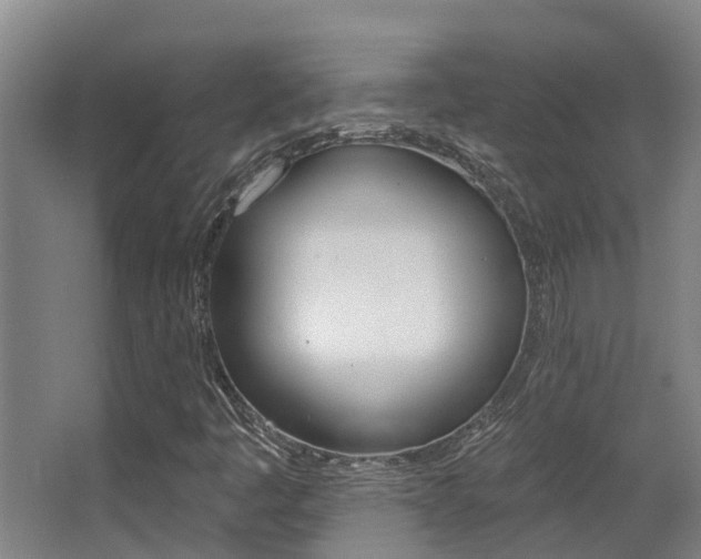 X0000062861445200601130935