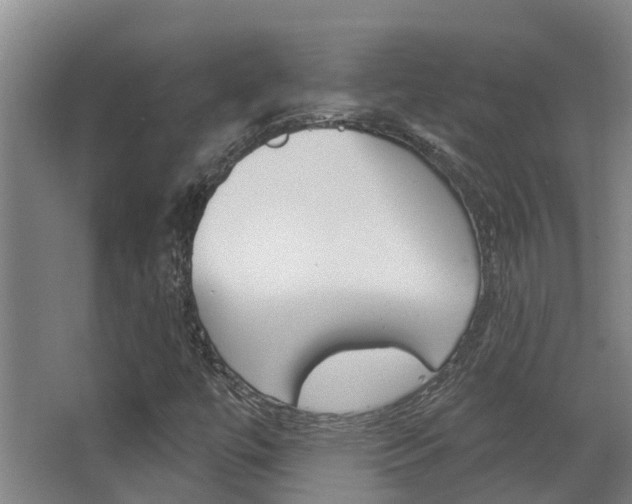 X0000062861447200601130935