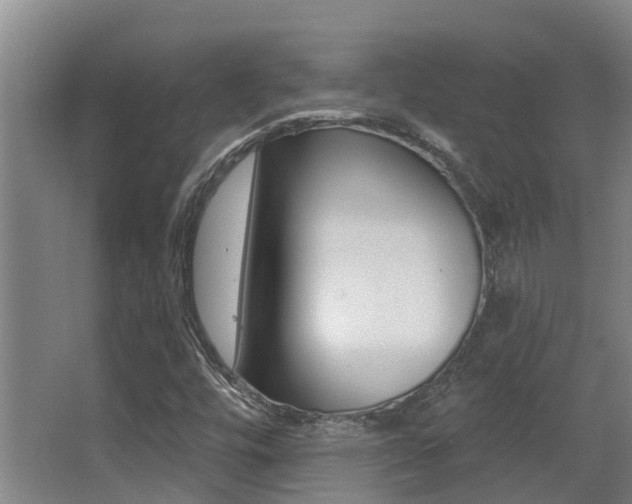 X0000062861448200601130935
