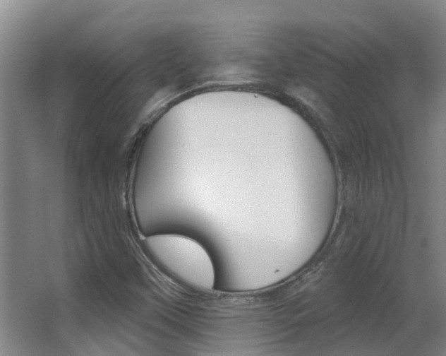 X0000062861451200601130935