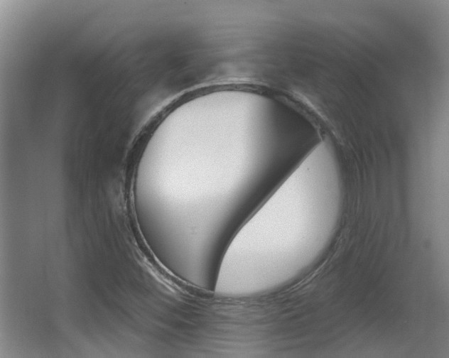 X0000062861452200601130935