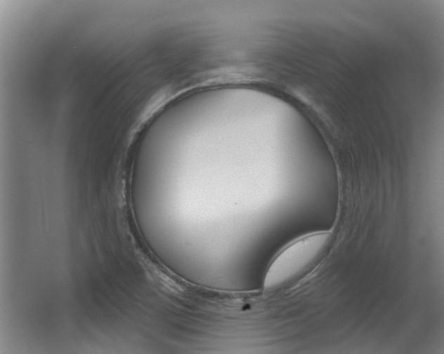 X0000062861459200601130935