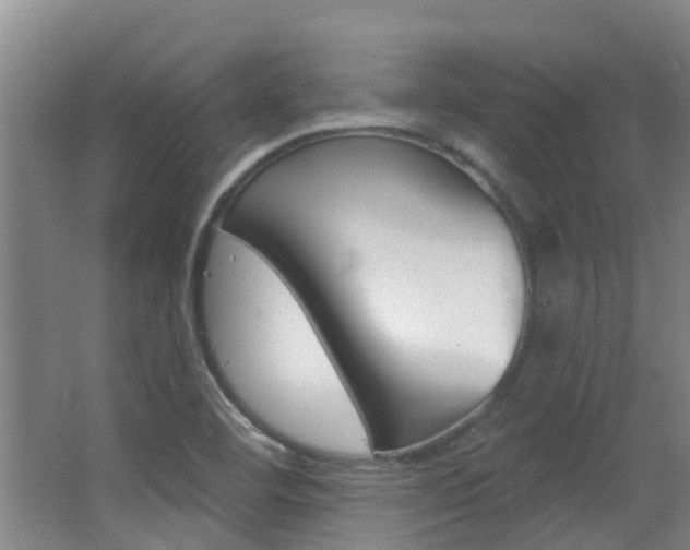 X0000062861460200601130935