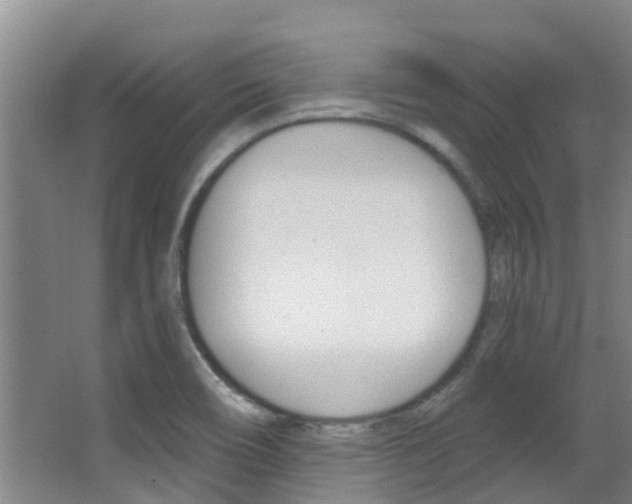 X0000062861466200601130935