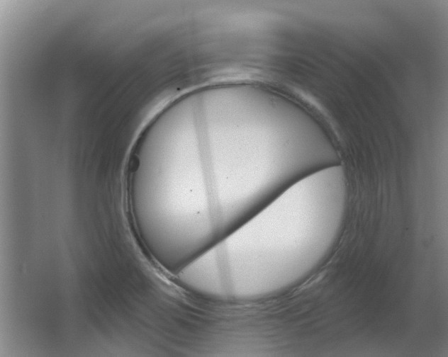 X0000062861467200601130935