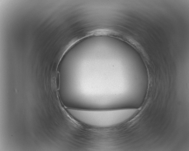 X0000062861473200601130934