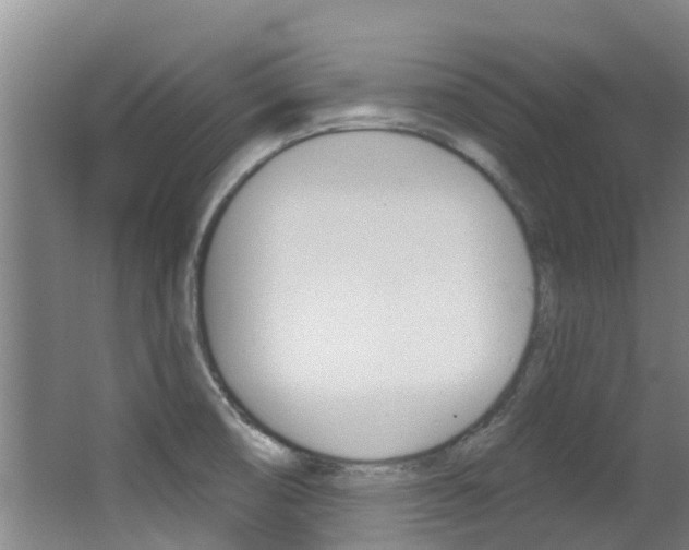 X0000062861474200601130934