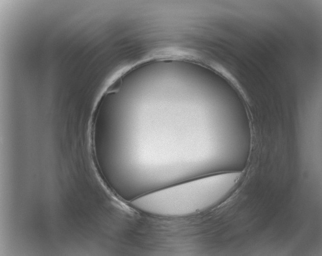 X0000062861477200601130934