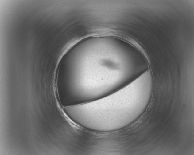 X0000062861485200601130934