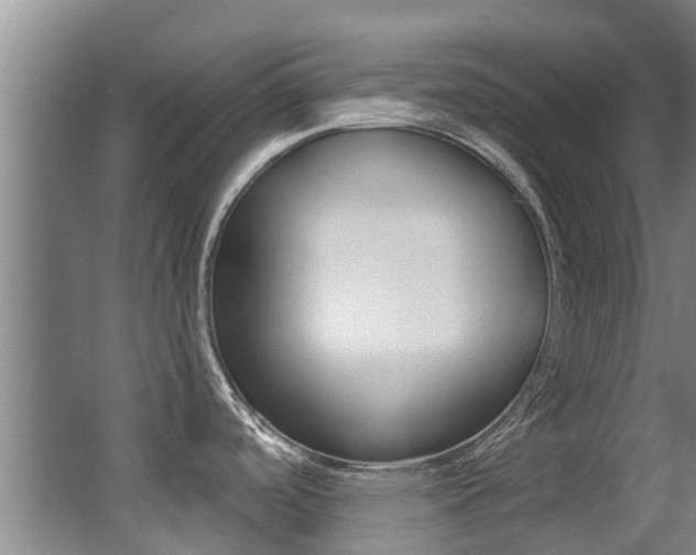 X0000062861488200601130934