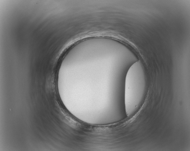 X0000062861498200601130933