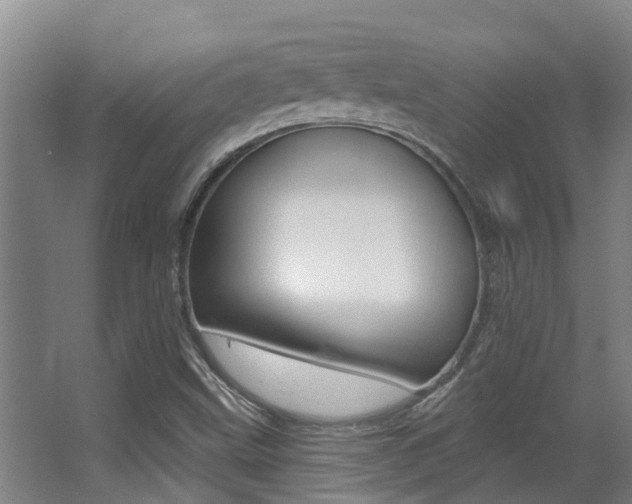 X0000062861499200601130933