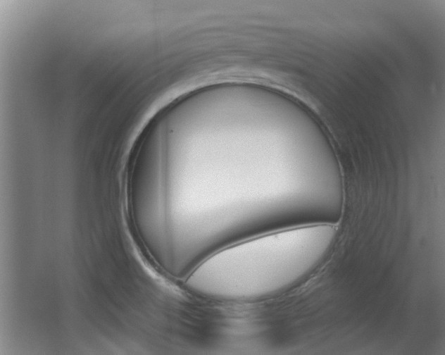 X0000062861515200601130934