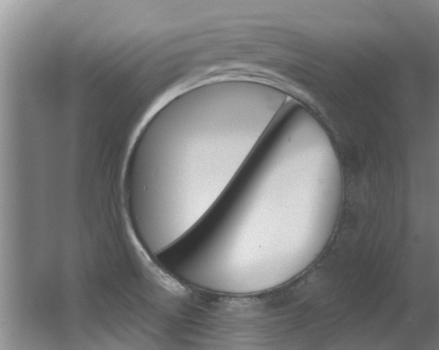 X0000062861522200601130934