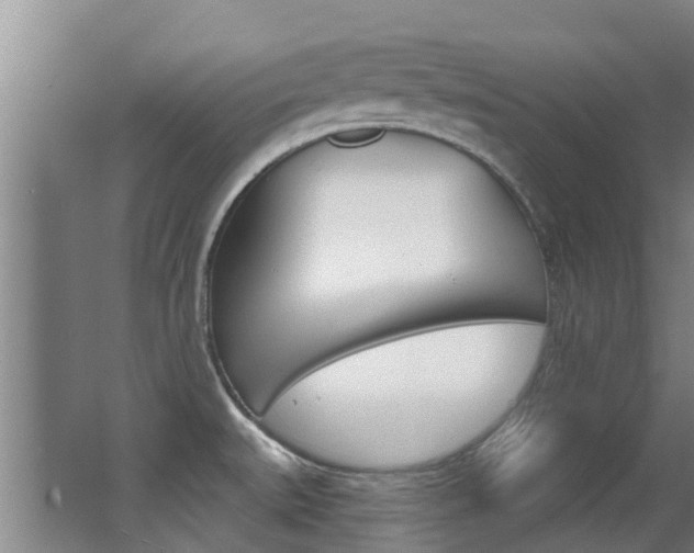 X0000062861527200601130934