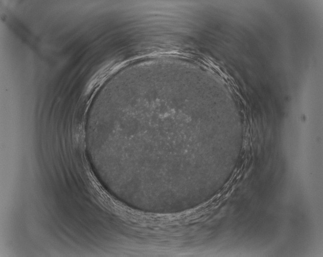 X0000062860002200601131427