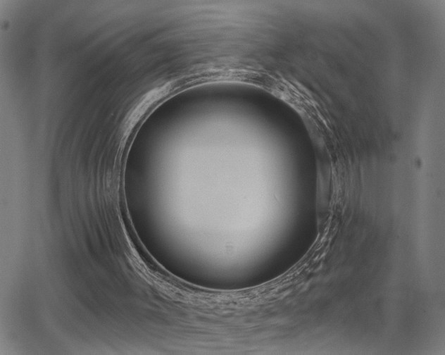 X0000062860003200601131427