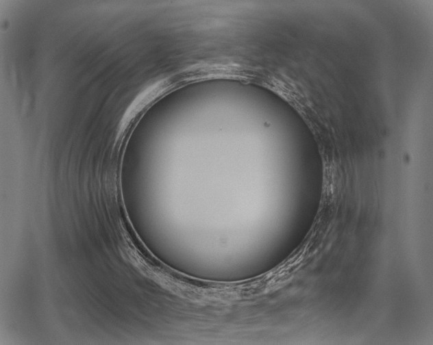 X0000062860004200601131427