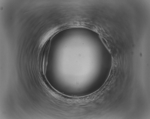 X0000062860005200601131427