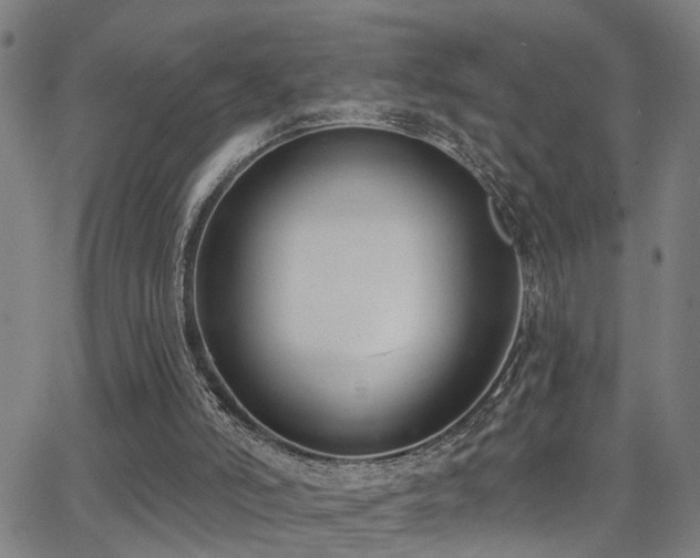 X0000062860006200601131427