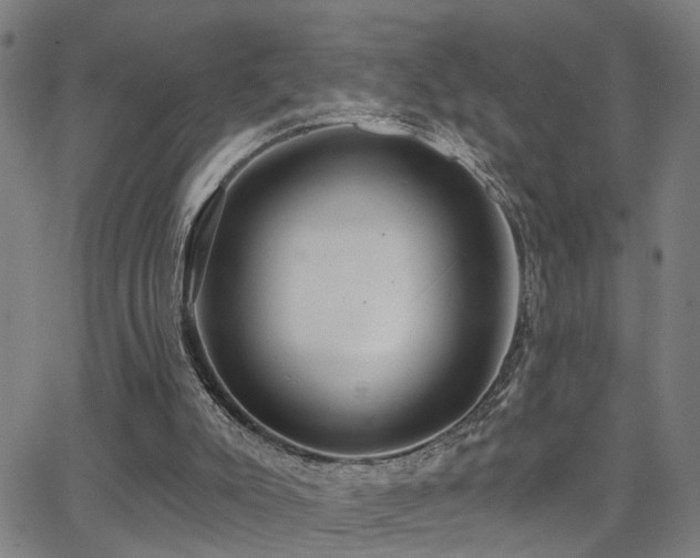 X0000062860007200601131427