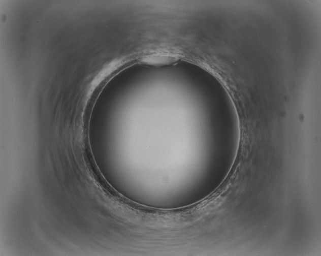 X0000062860008200601131427