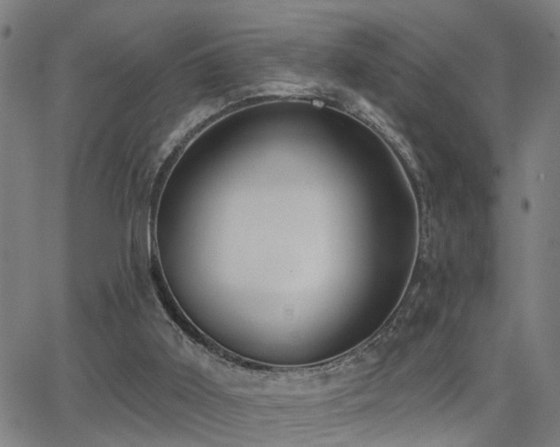X0000062860011200601131427