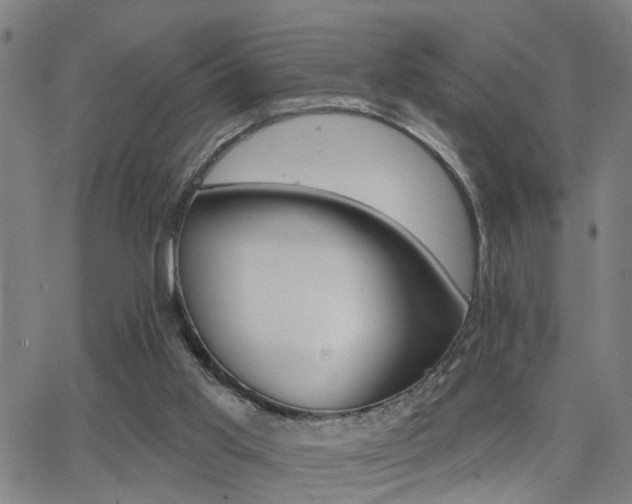 X0000062860013200601131427