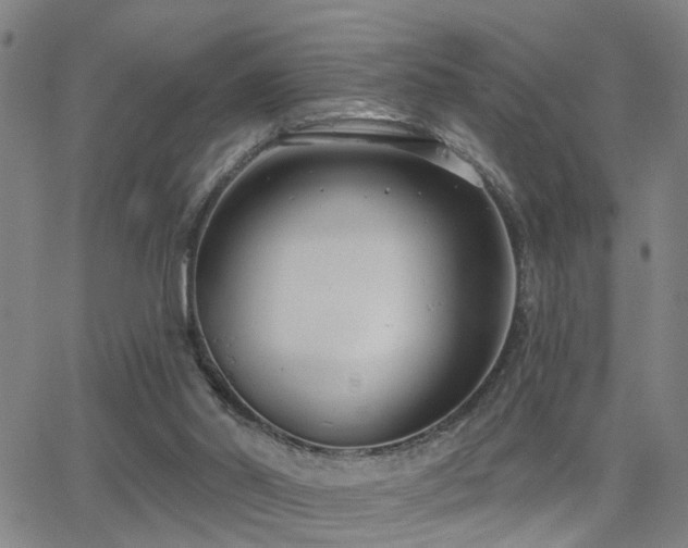 X0000062860014200601131427