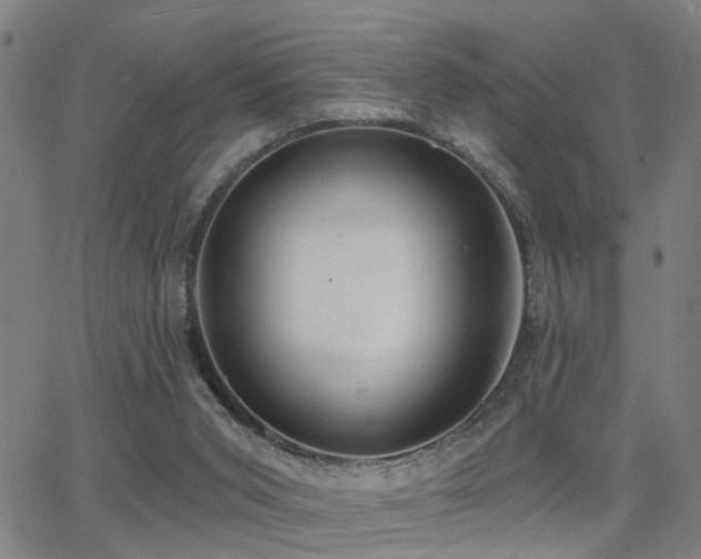 X0000062860015200601131427