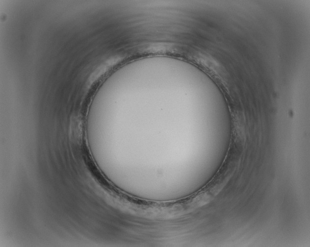 X0000062860016200601131427