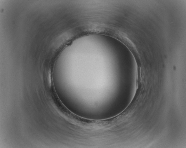 X0000062860020200601131427