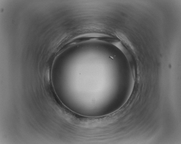 X0000062860021200601131427