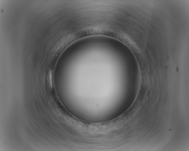 X0000062860022200601131427