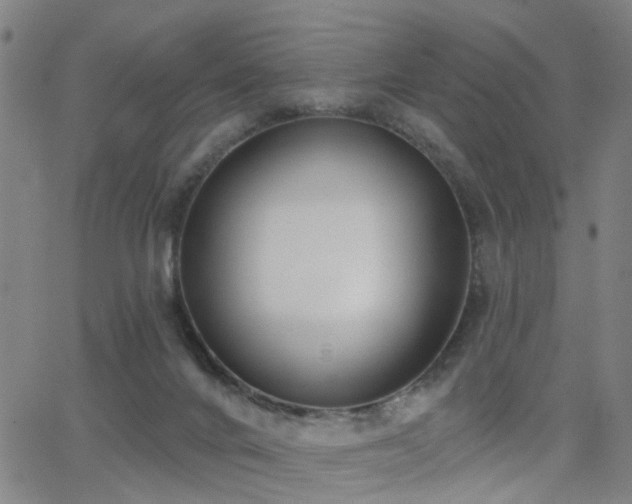 X0000062860024200601131427